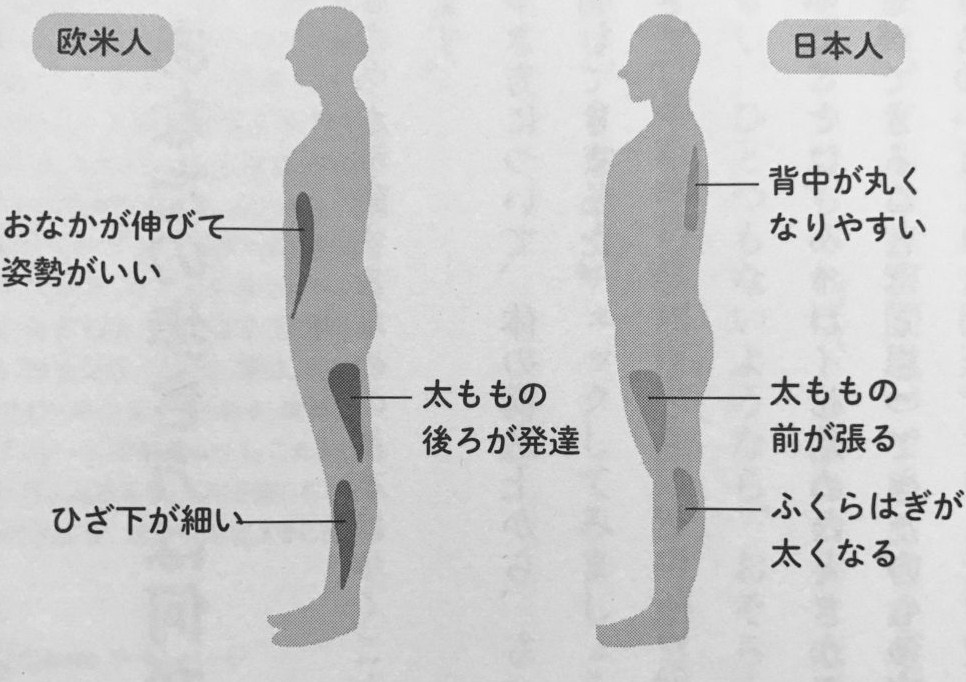 日本人と外国人の体型の違い? 治療と運動|ATTiVO 日本人と外国人の体型の違い? 治療と運動|ATTiVO
