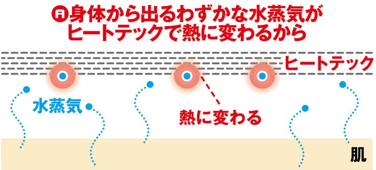 ヒートテックはなぜ暖かい？ 治療と運動｜ATTiVO
